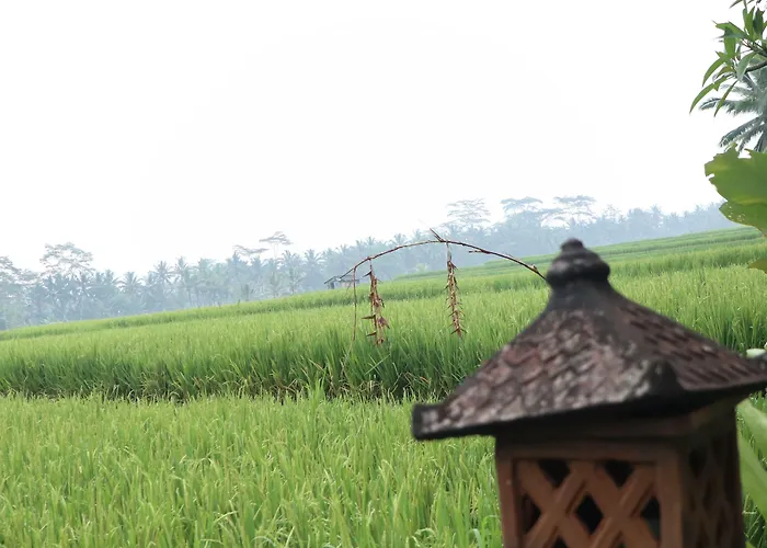 Royal Jj & 3* Ubud